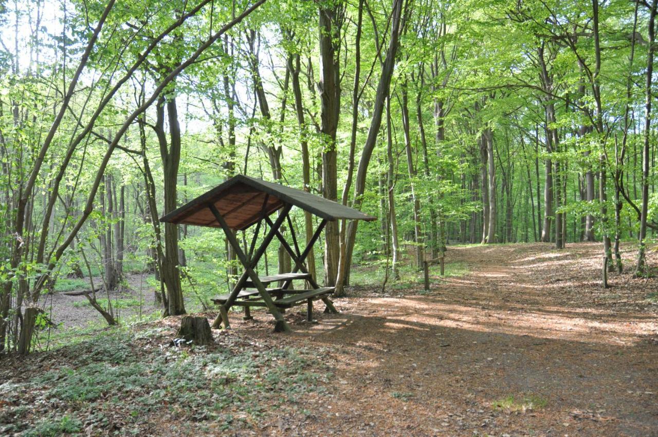 Ferienhaus Caselow 23 Bergholz Dış mekan fotoğraf
