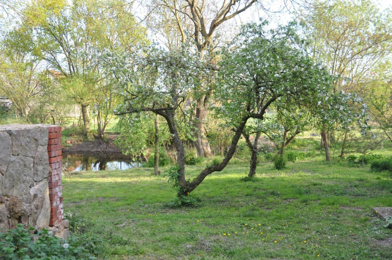 Ferienhaus Caselow 23 Bergholz Dış mekan fotoğraf