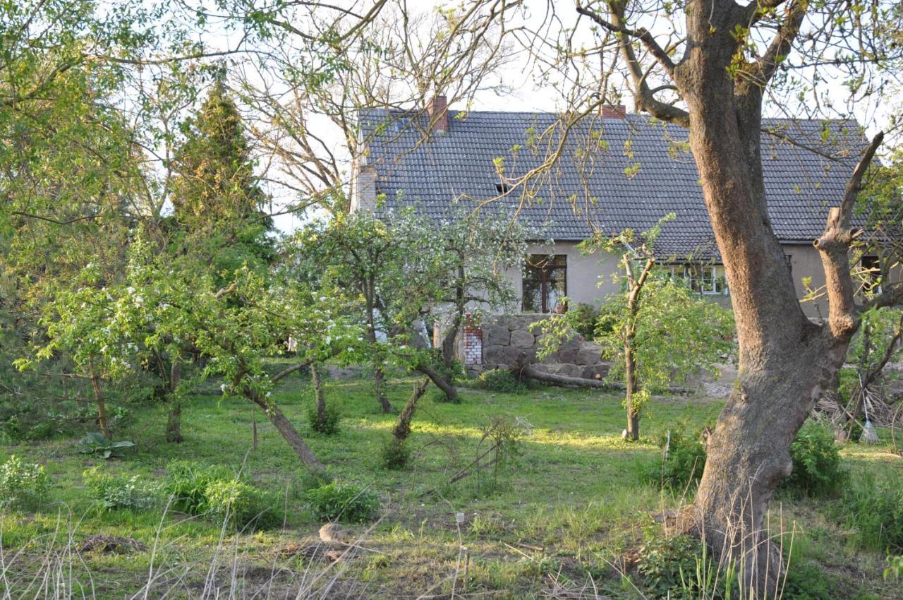 Ferienhaus Caselow 23 Bergholz Dış mekan fotoğraf